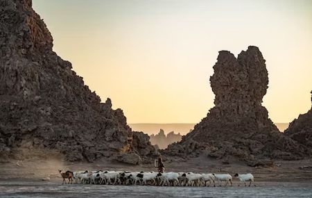 Djibouti Sewaan Kereta