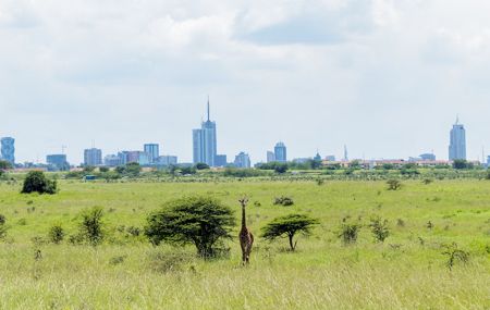 Kenya Autoverhuur